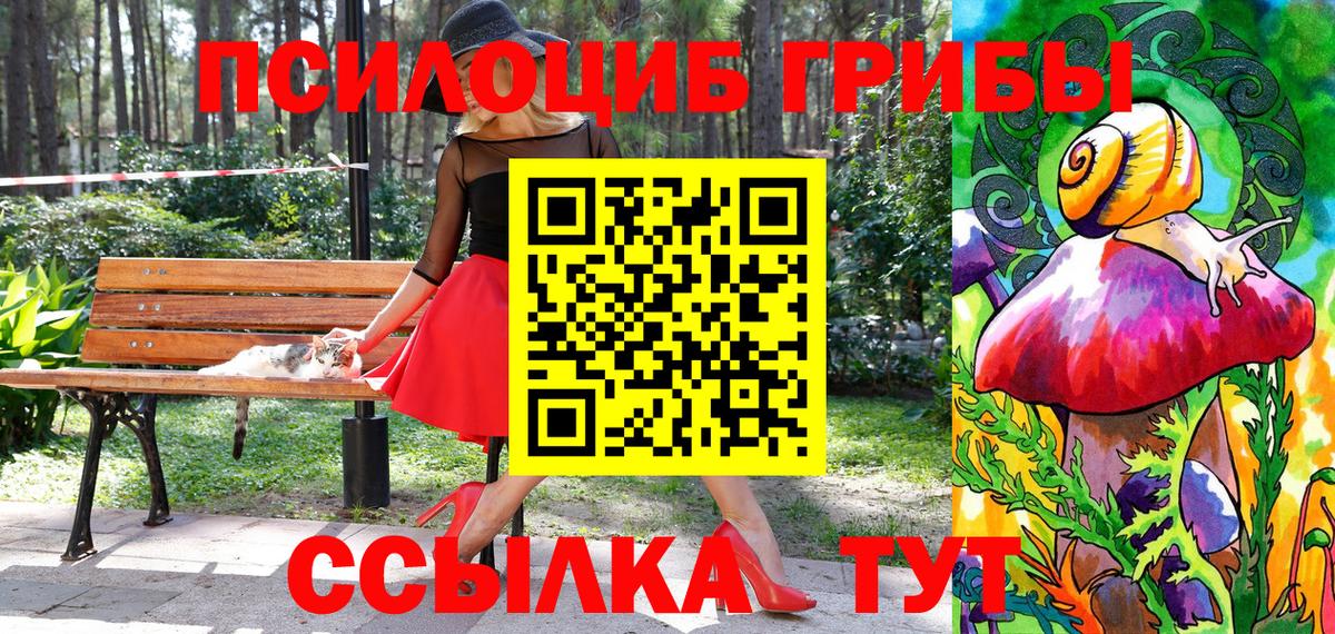 Галлюциногенные грибы GOLDEN TEACHER Азнакаево
