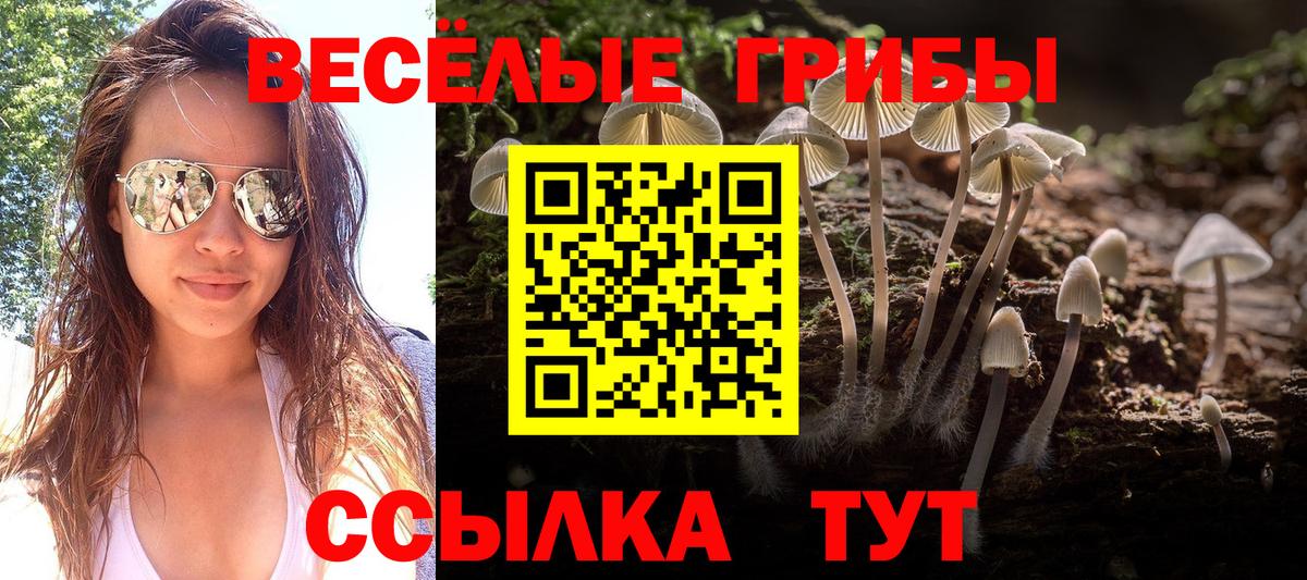 Азнакаево  Галлюциногенные грибы Magic Shrooms  Вход с VPN 